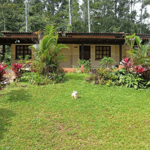 villa_diomira_villa-diomira1