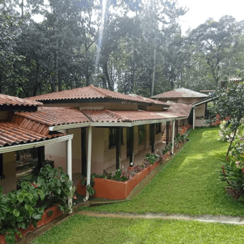 villa_diomira_villa-diomira2