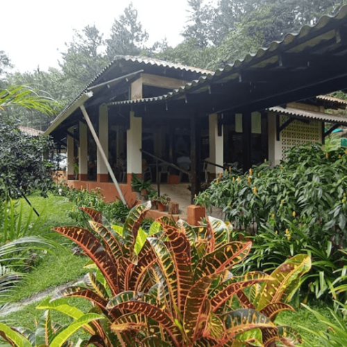 villa_diomira_villa-diomira3
